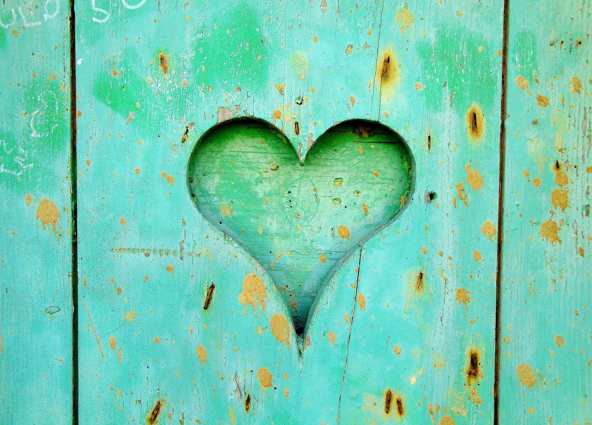 Last minute Valentine's Day gift ideas. A picture of a green heart